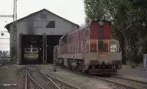 Vor der Maschinen Halle des Depot Decin steht am 7.10.1992 die CKD Diesellok
T 669.1185.