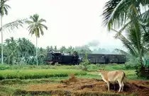  E10 62  Batutabal  09.10.80