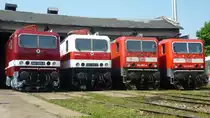 Am 19.5.12 fand eine Ausstellung zum 30 jährigen Jubiläum der Baureihe 143 im Eisenbahnmuseum Weimar statt. Zu diesem Anlass wurde die 143 117 in den Originallack versetzt und hat den Namen 243 001 bekommen. Nebenan wurde auch kurz vor knapp noch die 143 005 umlackiert und auf 243 005 getauft. 
Bei dem Anblick blüht den 143 Fanatikern doch das Herz auf! 

Ein großes Lob an das ganze Team des TEV's für diese Klasse Veranstaltung! ;)