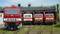 Am 19.5.12 fand eine Ausstellung zum 30 jährigen Jubiläum der Baureihe 143 im Eisenbahnmuseum Weimar statt. Zu diesem Anlass wurde die 143 117 in den Originallack versetzt und hat den Namen 243 001 bekommen. Nebenan wurde auch kurz vor knapp noch die 143 005 umlackiert und auf 243 005 getauft. 
Bei dem Anblick blüht den 143 Fanatikern doch das Herz auf! 

Ein großes Lob an das ganze Team des TEV's für diese Klasse Veranstaltung! ;)