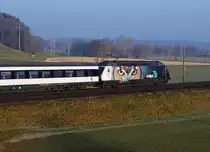 SBB: Seitenansicht der Re 460105-0 bei Bollodingen am 8. März 2014. Sie ist mit einer Vollwerbung für den Verband Schweizer Lokomotivführer und Anwärter VSLF versehen.
Foto: Walter Ruetsch