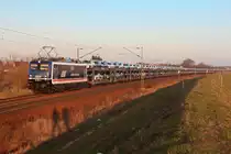 Im schönsten Abendlicht ist 110 043-6 mit einem Skodazug aus dem Elbtal bei Zeithain unterwegs.
