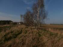 Hier führt noch das alte Anschluss Gleis nach Pfeifer & Langen Grevenbroich.
Das Gleis ist leider durch Gras nicht sichtbar. 08.03.2014