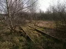 Die Gleise des Anschlussgleises der ehemailgen Maschinenfabrik Buckau sind soeben erst vom anderen Anschlussgleis zu Pfeifer & Langen angezweigt und teilen sich gleich danach nochmal in 2 Gleise. Ich schätze das hier 2 Gleise liegen um ein Gleis zum Wagen abstellen zu haben. Feldwege nahe Lindenstraße am Gewerbegebiet Ost in Grevenbroich am 08.03.2014