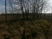 Hier nochmals eine Weiche wo das Gleis nach Pfeifer & Langen wieder vereint wird und eingleisig zur Fabrik führt. Der Mast stammt von einer Straßenlaterne die entlang der Stracke stehen und der Lok den Weg weisten. Grevenbroich Feldwege Gewerbegebiet Ost 08.03.2014