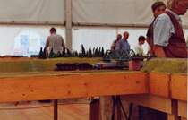 Modellbahn-Ausstellung des MEC Wismar anl��lich der landesgartenschau 2002 in Wismar
ein Dampflok bespannter Containerzug unterquert ein Br�ckenbauwerk