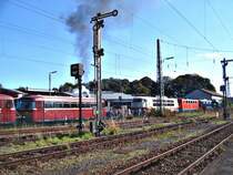 Das bay. Eisenbahnmuseum in N�rdlingen. Die Aufnahme machte ich am 08.10.06 vom Bahnsteig der N�rdlinger Bahnhofs aus. Im Hintergrund sieht man auch eine 103er, eine 141er und eine Versuchslok der E10.