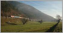 E 1955  Erlebniszug Zauberberge  (Wien-M�rzzuschlag) am 25.11.2006 zwischen Gloggnitz und Payerbach-Reichenau, bespannt mit 1141 024.