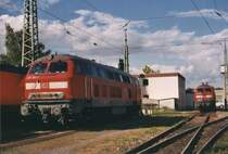 225-150 und 225-086 in Singen am Hohentwiel. Ihre Aufgabe besteht 
darin G�terz�ge Richtung Friedrichshafen/Ulm bzw. Richtung Schaffhausen in die Schweiz zu ziehen. 