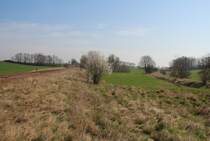 30.3.2014 Müncheberg (Mark) links die Ostbahn ostwärts - rechts die Strecke der Oderbruchbahn