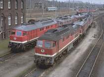 Eine Ansammlung von  Ludmillas  1990 im BW Wustermark (Archiv P.Walter)