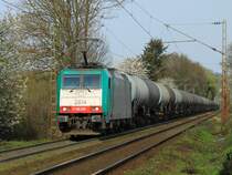 Frühling am Gemmenicher Weg in Aachen, am 01.04.2014 zieht Cobra 186 206 (2814) einen langen Kesselzug die Rampe von Aachen West nach Belgien hoch.