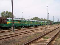 In Kamenz fand ich 11 St�ck abgestellte  Taigatrommel  (die anderen sind verdeckt) 23.05.03