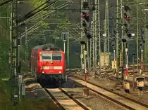 111 117 zieht RE4 am 12.04.2014 auf der KBS 485 von Herzogenrath kommend durch den Mastenwald vor Aachen West.