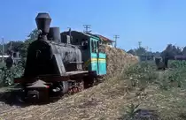  Nr. 11  Rejosari  19.08.95