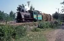  Nr. 11  Rejosari  19.08.95