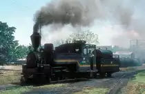  Nr. 10  Rejosari  04.10.80