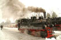 Historische Dampflokomotive 99 5901 der Harzer Schmalspurbahnen am 18.02.2006 im Bahnhof Drei-Annen-Hohne.