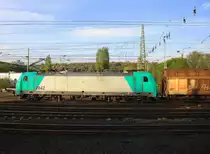 Die Cobra 2842 kommt aus Richtung Köln,Aachen-Hbf mit einem langen Papierzug aus Köln-Gremberg nach Zeebrugge(B) und fährt in Aachen-West ein.
Aufgenommen vom Bahnsteig in Aachen-West bei schönem Frühlingswetter am 9.4.2014. 