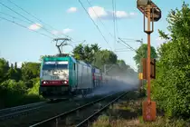 Hier gibt der Lokführer viel  Gummi  sprich Sand vor die Räder, damit die 2824 die schwere Last die steile Rampe am Gemmenicher Weg problemlos hochziehen kann. Aufgenommen am 19/06/2009.
