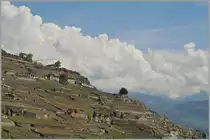 Die S31 12072, auf der Train des Vignes Strecke unterwegs, erreicht in Kürze Chexbres Villages.
22. April 2014
 