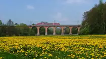 24.04.2014 Desiro der Erzgebirgsbahn auf dem Viadukt bei Steinpleiß.