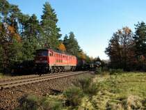 232 329 mit einem G�terzug bei Neunkirchen am Sand (16.11.2006)