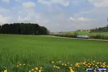 185 der Ruhrtahlbahn bringt einen ARS Altmann Autozug nach Regensburg. Hier zu sehen bei Sinngrün i.d. Oberpfalz am 26.04.14