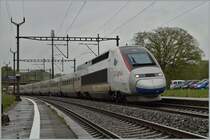 Der TGV 4411 scheint noch nicht ganz sicher zu sein welches Farbkleid er tragen soll. TGV Lyria 9269 von Paris nach Lausanne bei Vufflens la Ville.
28. April 2014