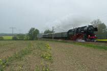 52 8131 mit ein Sonderzug aus Berlin passiert bei Priestewitz auf der Laufweg nach Dresden. 12 April 2014.