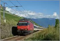 Infolge baubedinger Sperrung der Strecke Puidoux-Chexbres - Lausanne wurden die IR Luzern - Genève ab Puidoux-Chexbres statt nach Genève nach Vevey geführt wo sie dann für die Rückfahrt nach Luzern wendeten. 
Hier ist die Re 460 042-5 mit ein IR von Vevey nach Luzern in den Weinbergen bei Chexbres zu sehen.
5. Sept. 2009
