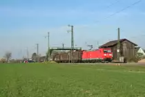 185 186-4 mit einem RedBull-Zug nach Bludenz am Nachmittag des 29.03.14 in Auggen.