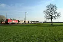 185 585-7 mit einem HGK-untypischen Silowagenzug gen Norden am sp�ten Nachmittag des 29.03.14 s�dlich von Auggen.
