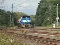 NIAG Nr.5 275 017-8 zieht einen Kalksilozug von Neuss kommend nach Niederaussem.
Gerade überquert der Zug den Bahnübergang Blumenstraße.
Grevenbroich 09.05.2014