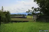 Das war eine Überraschung. Am 10.5.14 traf ich bei Hilperting auf eine fröhliche Meute Bahnfotografen. Gespannt wurde gewartet bis der Stargast des Tages durchfuhr. Der Eurosprinter mit einem TEE in Richtung München