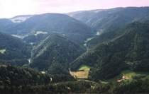 An der Schwarzwaldbahn: 
Im Gel�nde (VI): Ebenfalls vom etwa 800 Meter hohen Schlo�felsen
blickt der Betrachter hier hinab auf die Niederwasserkehre bei ca.450 M.�.N.N. . Diese Aufnahme soll hier nur einen r�umlichen Eindruck vermitteln, denn der Streckenverlauf ist nicht ohne weiteres zu erkennen. In der Bildmitte befindet sich ein etwa 550 Meter hoher Bergkegel, indem der 558 m lange Niederwasser-Kehrtunnel liegt. Vor ihm liegen die drei kleinen Glastr�gertunnels (km 46). Links hinter ihm der Hippensbach und rechts dahinter der Bereich Obergie� (km 52).     