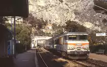 Im März 1987 durchfährt BB 22319 mit einem Schnellzug Cap Martin (Strecke Menton - Nizza)