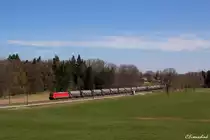 DB 185 217 bespannte am 30.03.14 einen umgeleiteten Silowagen Ganzzug von Salzburg in Richtung München. Gerade hat der Zug Übersee passiert und wird in wenigen Minuten Bernau erreichen.