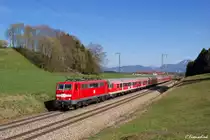 Die DB 111 021 war eine der Meridian 111er, die die DB n-Wagen Garnituren bespannte, die für den Meridian im Einsatz waren.
Am 30.03.14 konnte ich sie bei Straß kurz nach Freilassing aufnehmen.