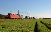 152 081 zog am 31.05.14 einen Aufliegerzug durch Burgkemnitz Richtung Wittenberg.