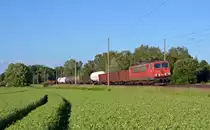 Mit einem kurzen gemischten Güterzug am Haken fuhr 155 197 am 31.05.14 durch Burgkemnitz gen Bitterfeld.