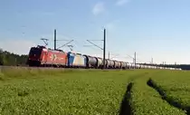 Die beiden HGK-Maschinen 185 585 und 185 514 zogen am 31.05.14 einen Kesselwagenzug durch Burgkemnitz Richtung Wittenberg.
