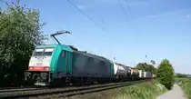 Die Cobra 2829 kommt aus Richtung Aachen-West und fährt die Gemmenicher-Rampe hochgefahren mit einem langen Containerzug aus Verona(I) nach Antwerpen-Noord(B) und fährt in Richtung Montzen/Belgien.
Bei tollem Sommerwetter am Nachmittag vom 18.5.2014. 
