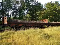 ein KLS 336 8 162-2 stand am 06.06.14 beim bhf glinde