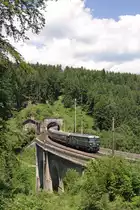 4061.13 mit S.Z. am Höllgraben-Viadukt. 8.6.14