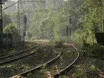 Blick auf die KBS 465 nach Köln. Die Strecke war am 10.6.14 von Mönchengladbach bis Köln komplett gesperrt. Heute ist sie von Rommerskirchen bis Köln wieder freigegeben und in den nächsten Tagen auch der Teil Grevenbroich Rommerskirchen. Die Strecke liegt voll mit kleineren und größeren Ästen und auch Teils mit umgeknickten Bäumen.

Grevenbroich 10.06.2014