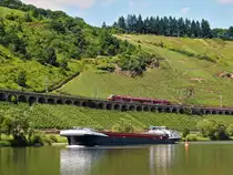 . Der Hamster kam wie gerufen und befuhr den P�ndericher Hangviadukt, w�hrend das Frachtschiff moselaufw�rts in P�nderich unterwegs war. 21.06.2014 (Hans)

Der P�ndericher Hangviadukt ist ein Hangviadukt auf der Moselstrecke gegen�ber von P�nderich an der Mosel. Das 786 m lange Bauwerk ist der l�ngste Hangviadukt in Deutschland. Unmittelbar am n�rdlichen Ende des Viaduktes beginnt der Prinzenkopftunnel.

Der Hangviadukt ist etwa 10 Meter hoch und weist 92 B�gen auf. Jeder der B�gen hat eine Spannweite von 7,20 m, die Pfeiler sind 1,30 m stark. Die Br�cke besteht aus Bruchsteinen aus einem nahegelegenen Steinbruch und Ziegelsteinen, die von Ziegeleien aus Merl und St. Wendel geliefert wurden. Insgesamt wurden 19.000 m3 Mauerwerk verbaut.

Die Vermessungsarbeiten im Bereich des Viaduktes begannen im Februar 1872. In den Jahren 1877 und 1878 wurde zun�chst der Viadukt f�r das moselseitige Gleis gebaut und am 15. Mai 1879 mit der Er�ffnung der Untermoselbahn in Betrieb genommen. Die von vornherein geplante bergseitige Erweiterung wurde in den Jahren 1879 und 1880 gebaut. Am 7. Oktober 1880 fand anl�sslich der Fertigstellung der Br�cke ein Schlusssteinfest statt.

Gegen Ende des Zweiten Weltkrieges sprengten deutsche Truppen auf dem R�ckzug vier B�gen des Viaduktes. Die Reparaturarbeiten wurden nach Kriegsende mit Hilfe dienstverpflichteter Arbeitskr�fte begonnen. Das moselseitige Gleis war am 1. September 1946 wieder befahrbar und bei der Wiederinbetriebnahme der Moselstrecke am 24. April 1947 war der P�ndericher Viadukt wieder vollst�ndig hergestellt.

Bei Bauarbeiten im Jahr 1952 wurde eine Urkunde gefunden, die beim Schlusssteinfest eingemauert worden war. Diese f�hrt alle Dienststellen und Firmen auf, die sich beim Bau beteiligt hatten und das Dokument vergleicht die damaligen Baukosten mit denen f�r Lebensmittel wie Brot, Fleisch und Moselwein. Eine Moselweinflasche kostete damals je nach Qualit�t zwischen 1 und 5 Mark.

Anfang der 1970er Jahre wurden bei der Elektrifizierung der Moselstrecke die Gleise auf dem Viadukt tiefer gelegt, wozu kleinere Sprengarbeiten n�tig waren. Dies war erforderlich, weil das Niveau der Br�ckengleise an das der Gleise im anschlie�enden Prinzenkopftunnel angepasst werden musste, welche ebenfalls abgesenkt wurden, damit gen�gend Raum f�r die Fahrleitung im Tunnel geschaffen werden konnte.

Im Rahmen der Feierlichkeiten zum 175. Geburtstag der deutschen Eisenbahn im Jahr 2010 wurde der Hangviadukt vom 2. bis 5. April beleuchtet und von Sonderz�gen auf der Moselstrecke und der Nebenbahn nach Traben-Trarbach befahren.
