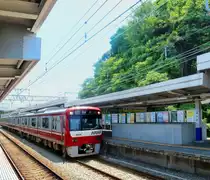 Die Fahrzeuge des Keihin Kyûkô-Konzerns, Serie 1000: Die neueren Wagen haben Wagenkästen aus rostfreiem Stahl. Bild: Der 4-Wagenzug 1465/6/7/8 in Horinouchi unter den riesigen üppig-grünen Bäumen der Miura Halbinsel, 25.Juni 2011. Zur Serie 1000: Die 1. bis 5. Lieferungen erfolgten von 2002 bis 2006, die Wagen sind fortlaufend numeriert, also Zug 1 = 1001-1008, Zug 2 = 1009 bis 1016 usf. Bis 2006 entstanden 9 Achtwagenzüge (1001-1065) und 12 Vierwagenzüge (1401-1445). Ab 2007 sind die Züge in rostfreiem Stahl erbaut, und jede Lieferung bringt kleine Veränderungen. Die bisher letzte Lieferung erfolgte 2023 (Sechswagenzug Nr. 1501-1). Zwischen der 6.Lieferung 2007 und der 21.Lieferung 2022 entstanden 19 Achtwagenzüge (einer ist verunfallt) (1073-1185, 1201-1225), 24 Sechswagenzüge (1301-1367, 1601-1667) und 19 Vierwagenzüge (1449-1489, 1801-1809, 1891-1 - 1895-1). 