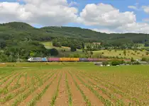 186 101 mit einem Containerzug am 15.06.2014 bei Sissach.