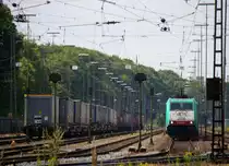 Die Cobra 2808 steht in Aachen-West mit einem langen Kesselzug und wartet auf die Abfahrt nach Anwerpen-BASF(B).
Bei Sommerwetter am Nachmittag vom 9.6.2014.
